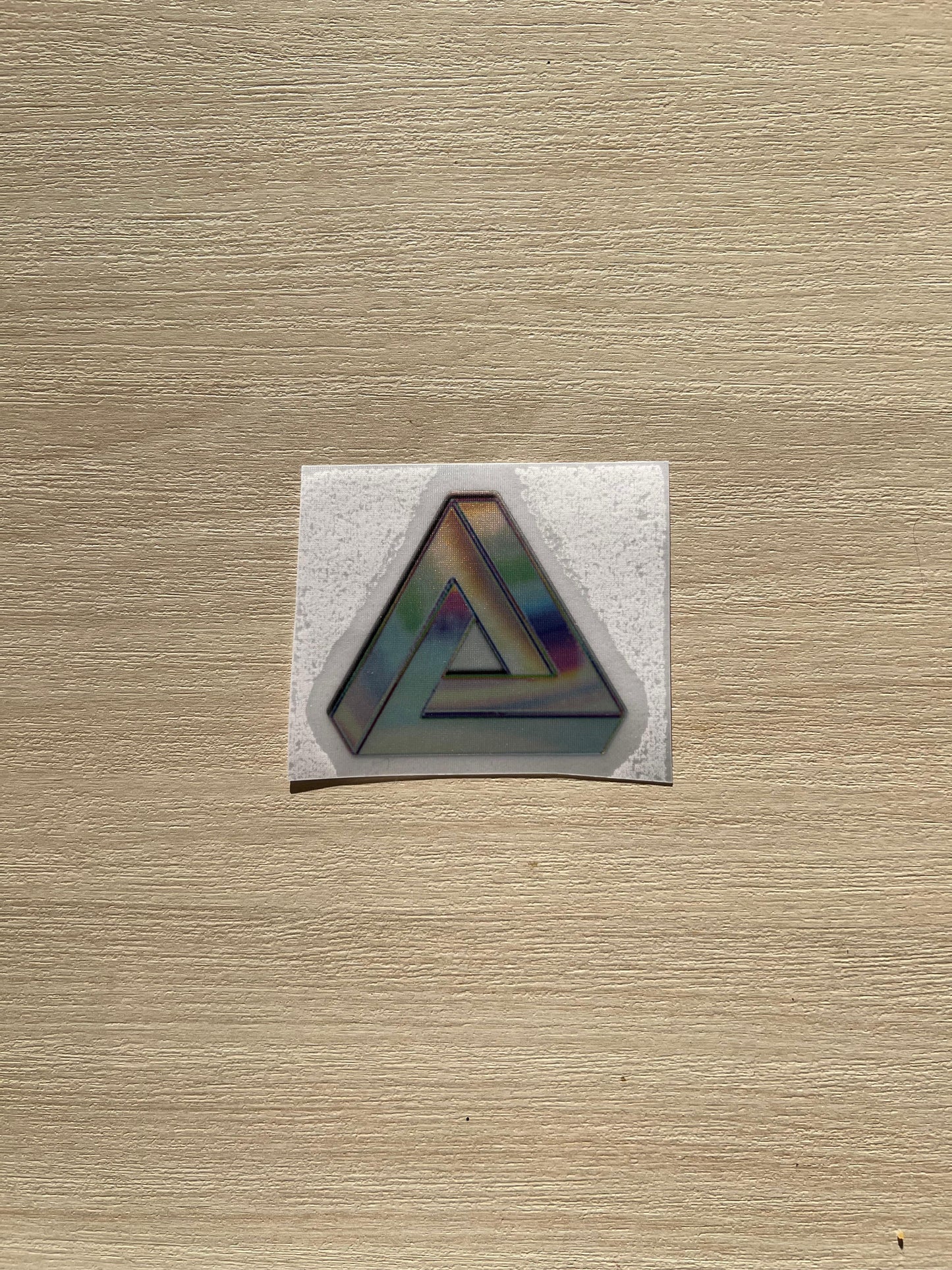 Holographic Community