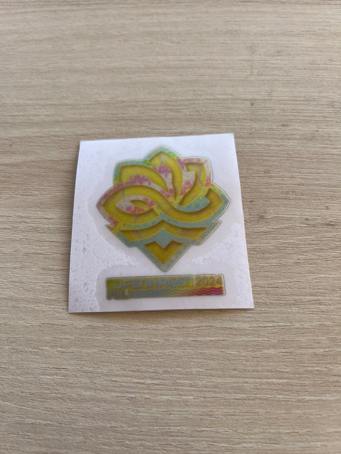 Major Copenhagen 2024 Holographic Teams