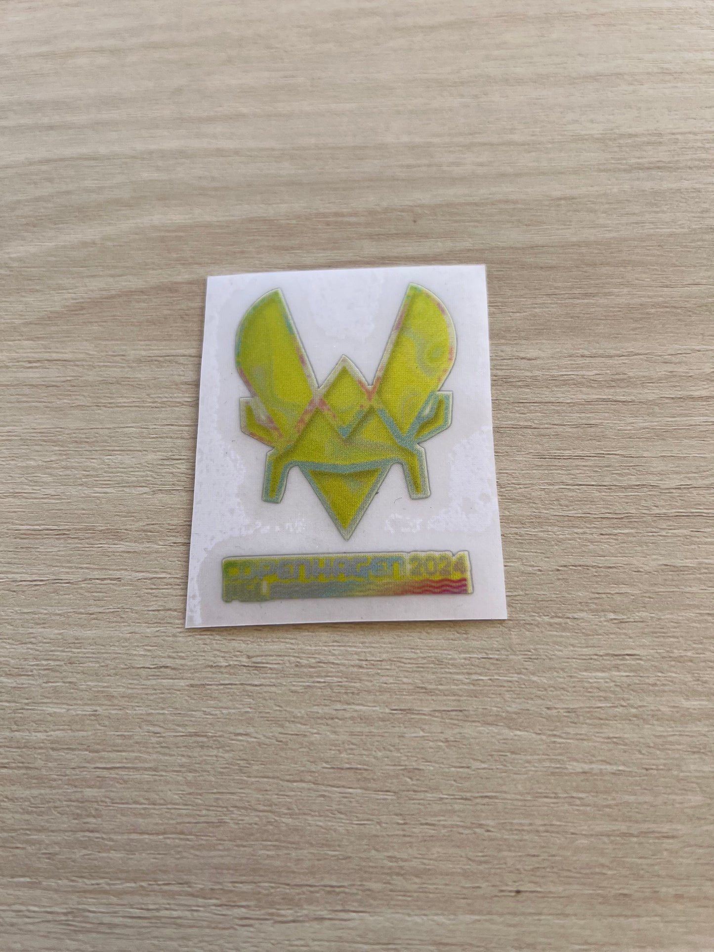 Major Copenhagen 2024 Holographic Teams