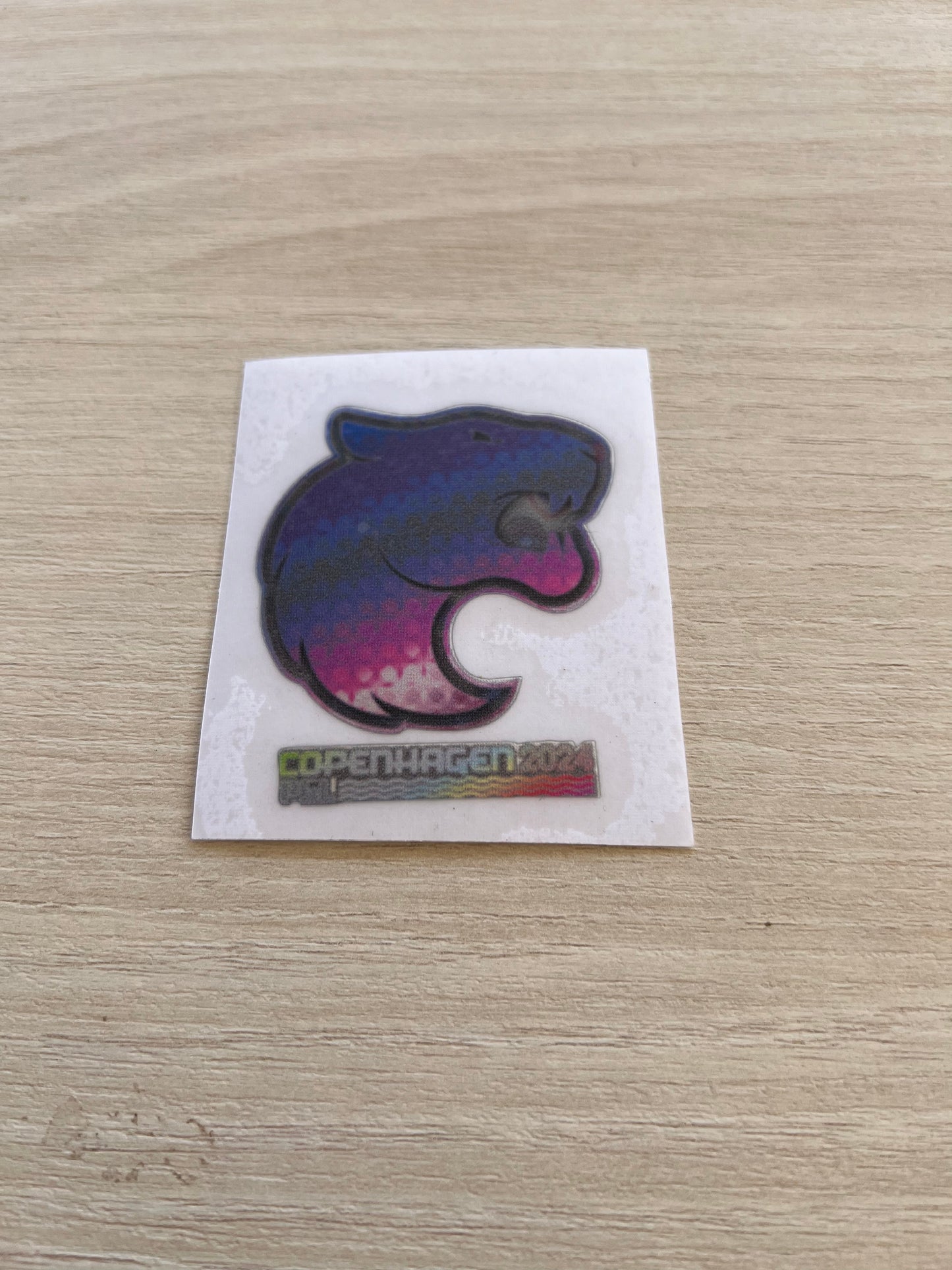 Major Copenhagen 2024 Holographic Teams