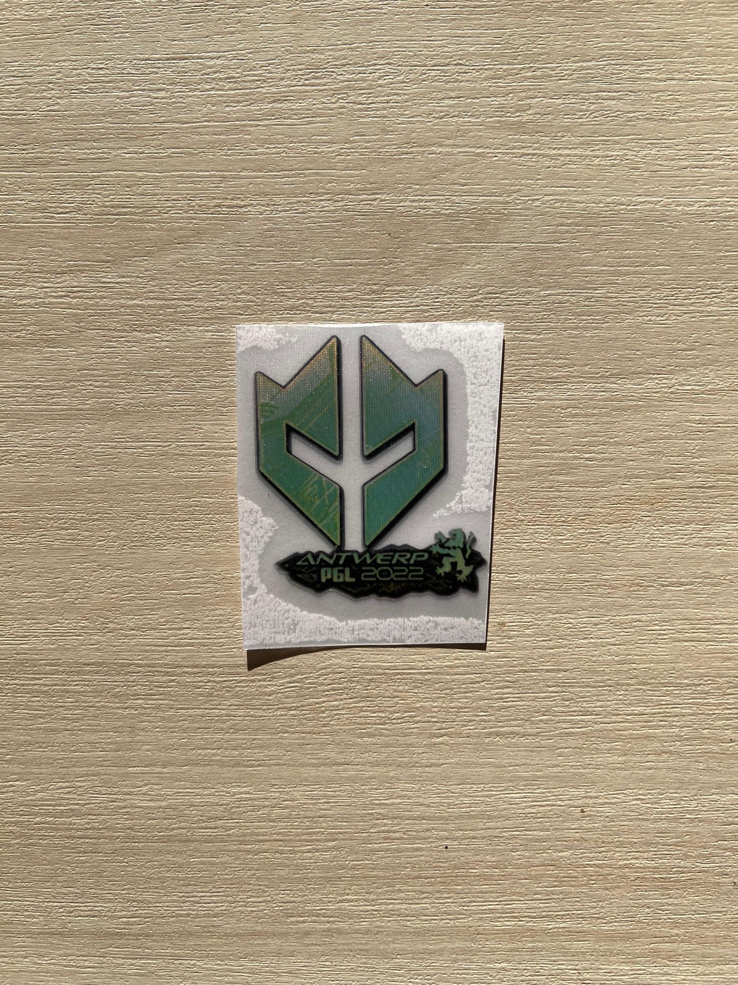 Antwerp Major 2022 Holographic Teams