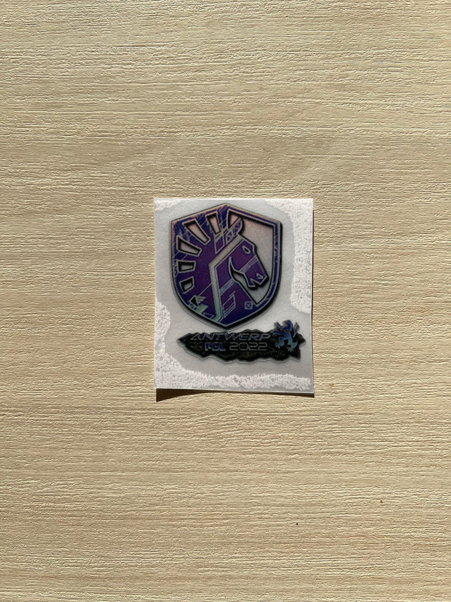 Antwerp Major 2022 Holographic Teams