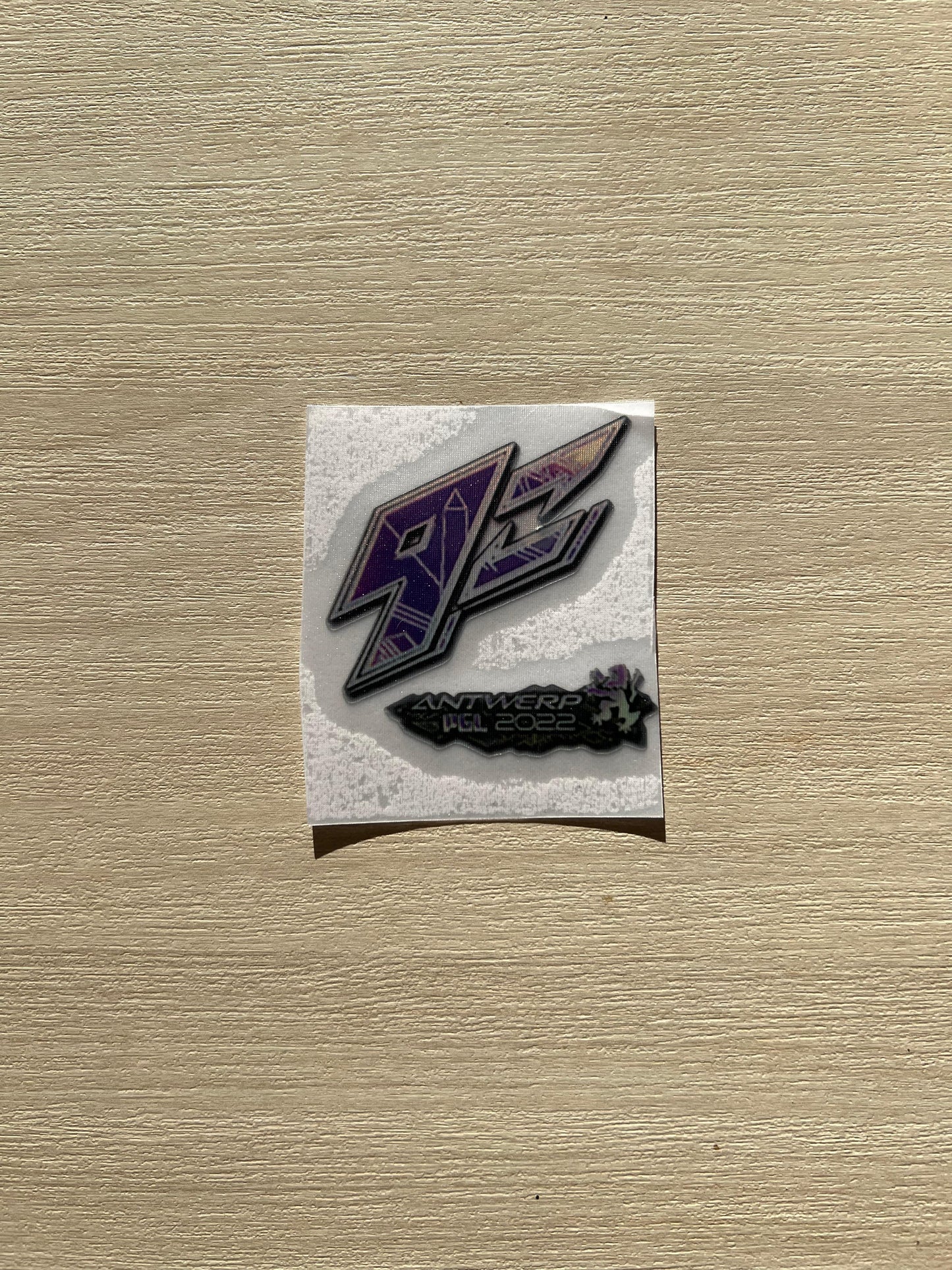 Antwerp Major 2022 Holographic Teams